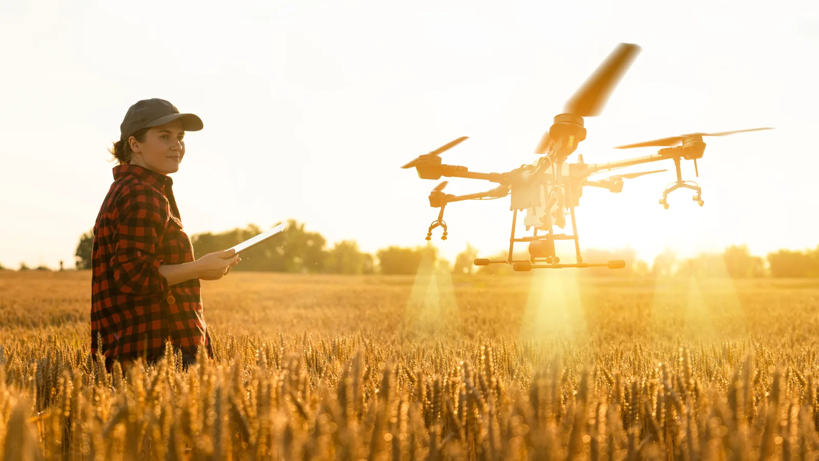 Agricultural drone operator monitoring a field flight with a tablet.