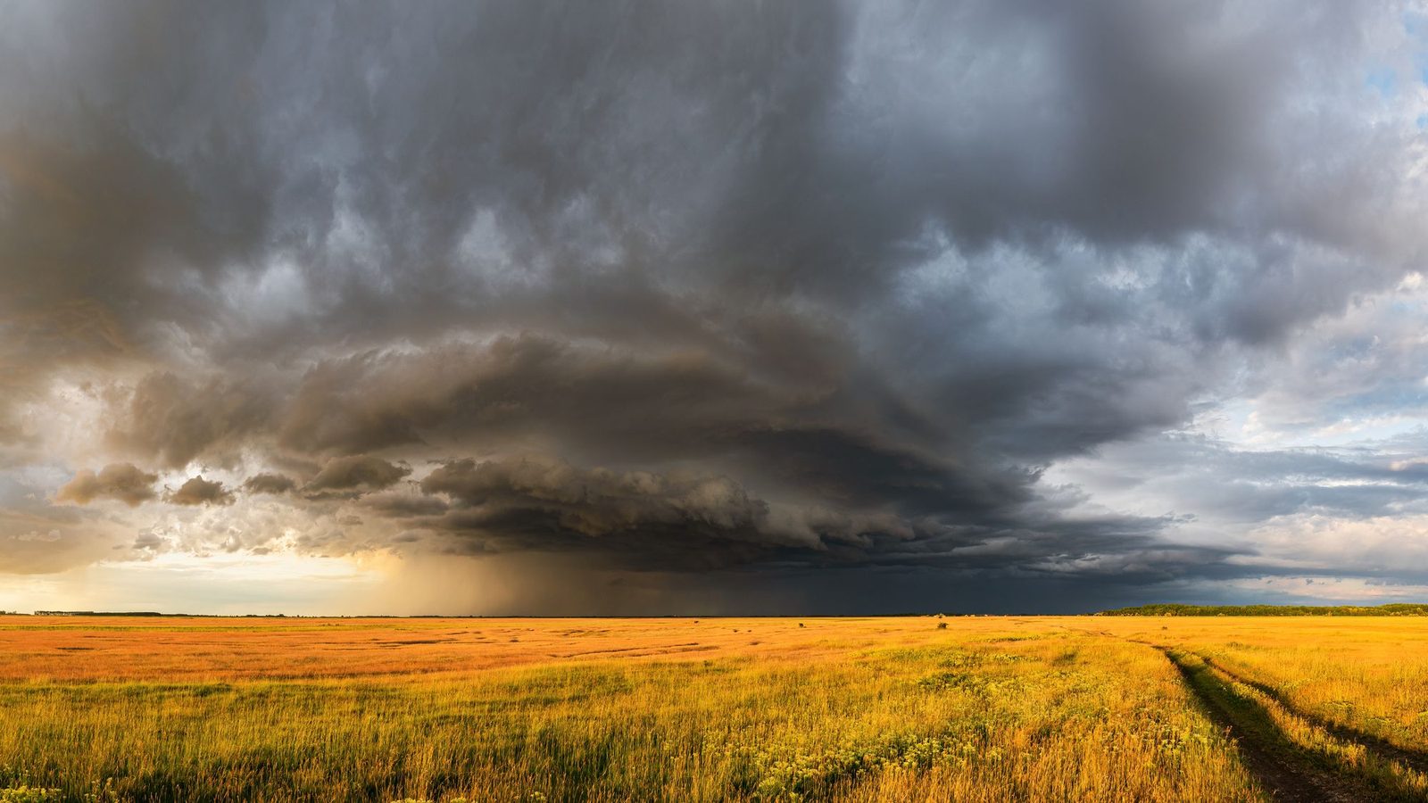 A dark shelf cloud advancing over an open field and a farm track.
