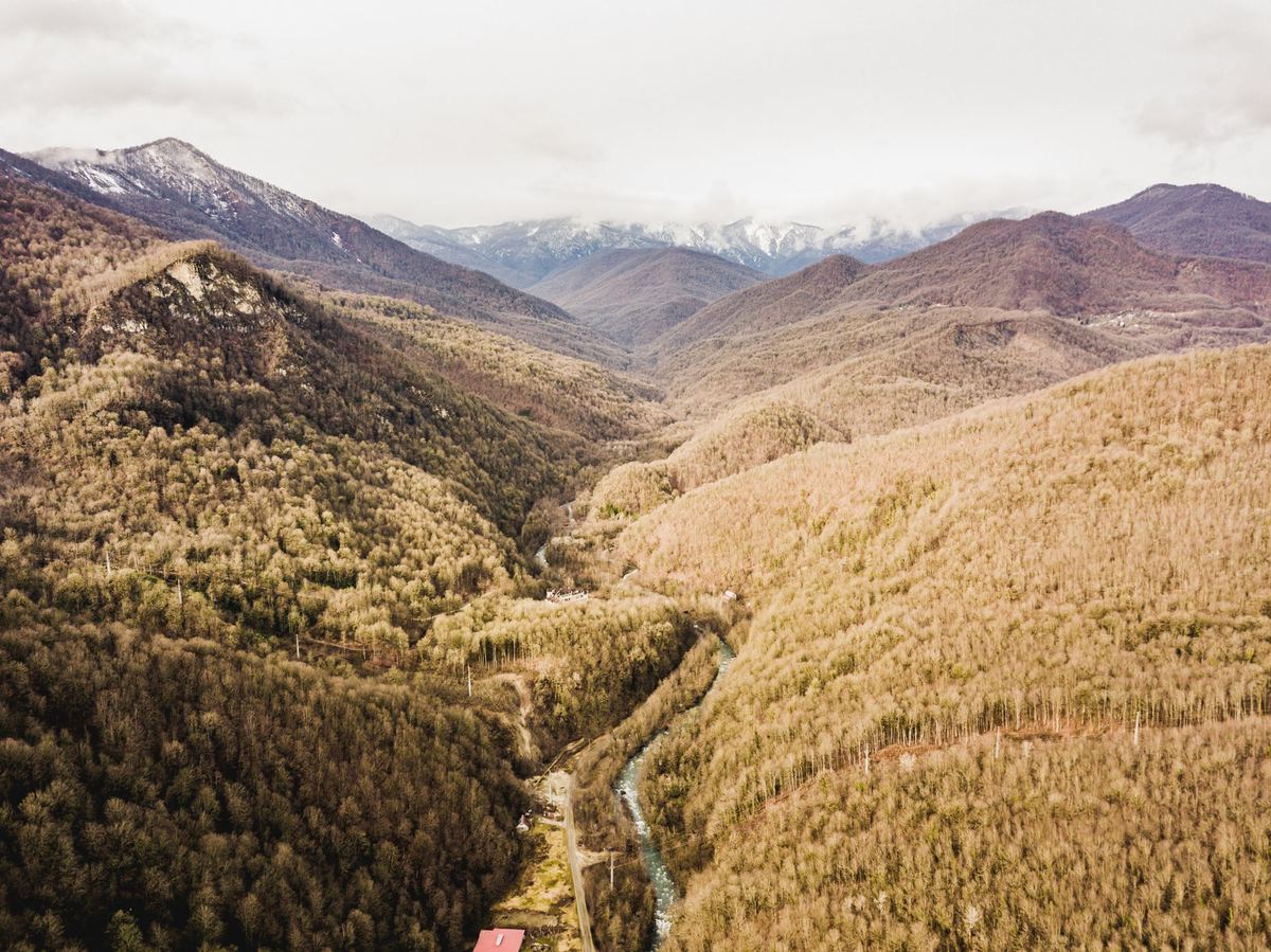 An aerial view along a forested valley towards distant snow-covered peaks.