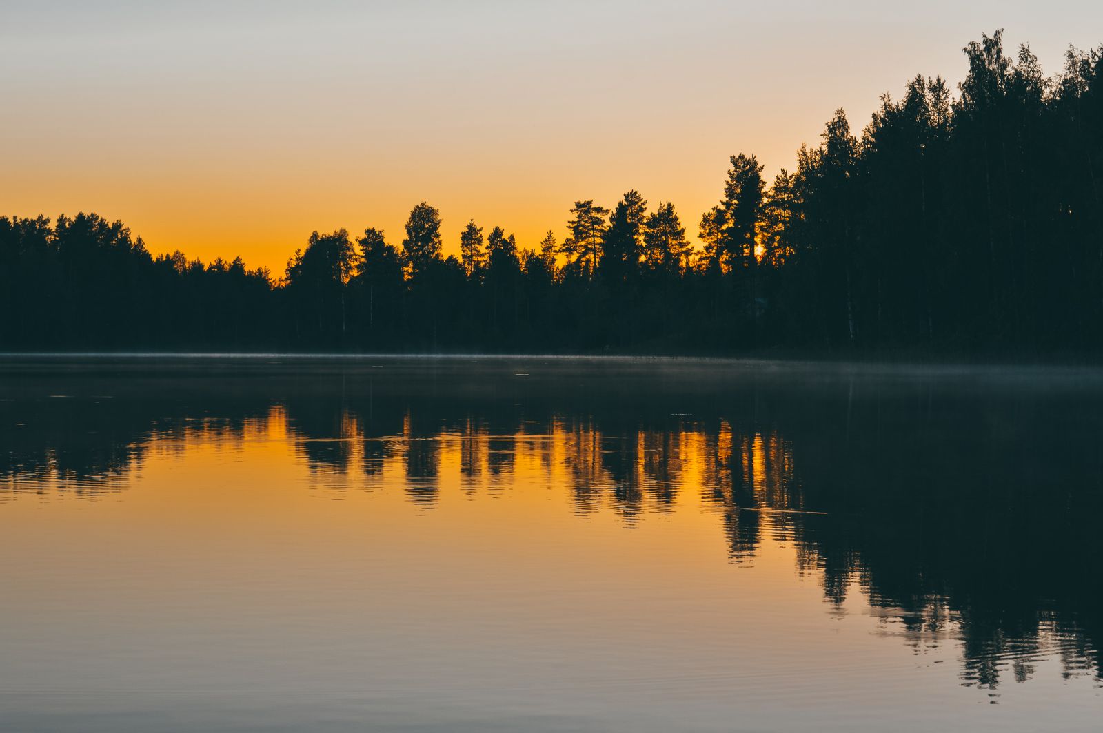 Sunrise reflected in a calm forest lake in Jyväskylä, Finland.