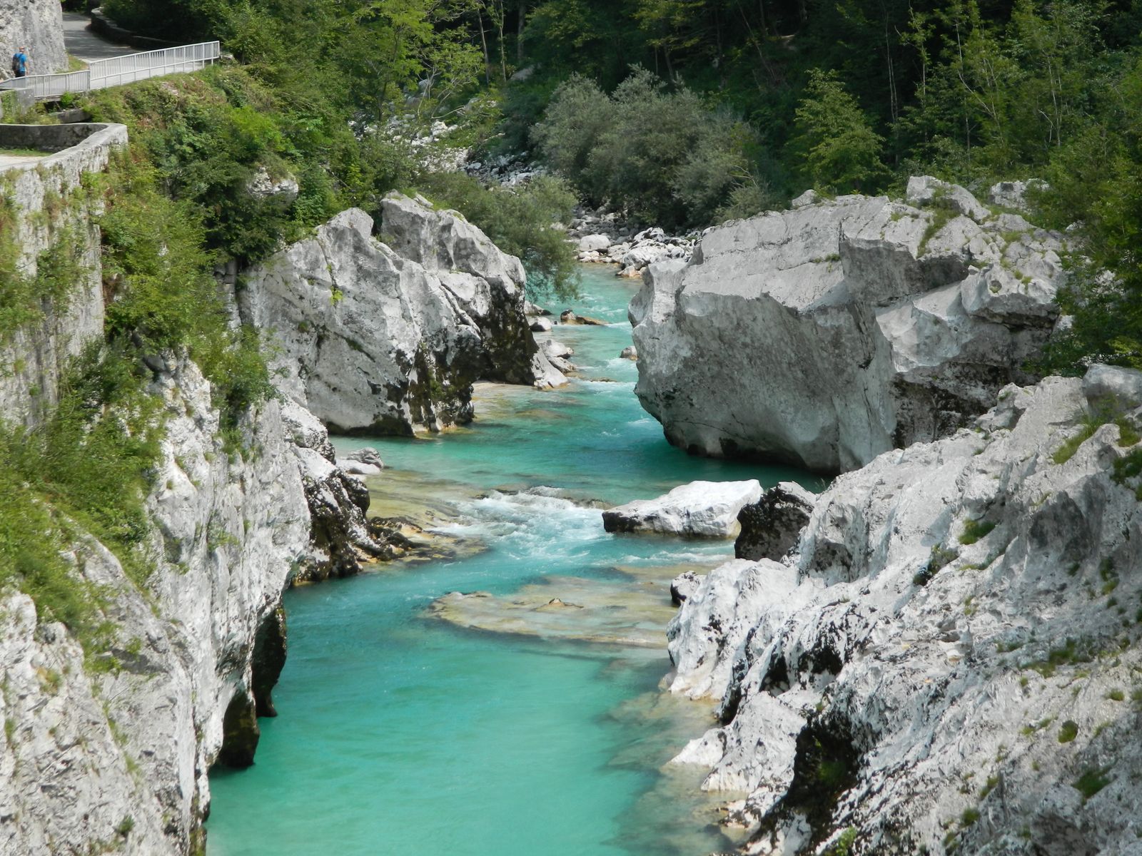 Turquoise water flowing between pale rocks and forest in the Soča Valley, Slovenia.